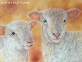 Sweet Little Lambs  Lydia Steeves Recorded Video